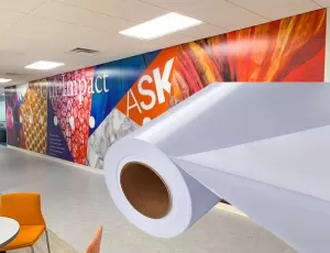 Self-Adhesive Vinyl manufacturer, Supplier