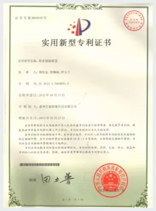Patent Certificate